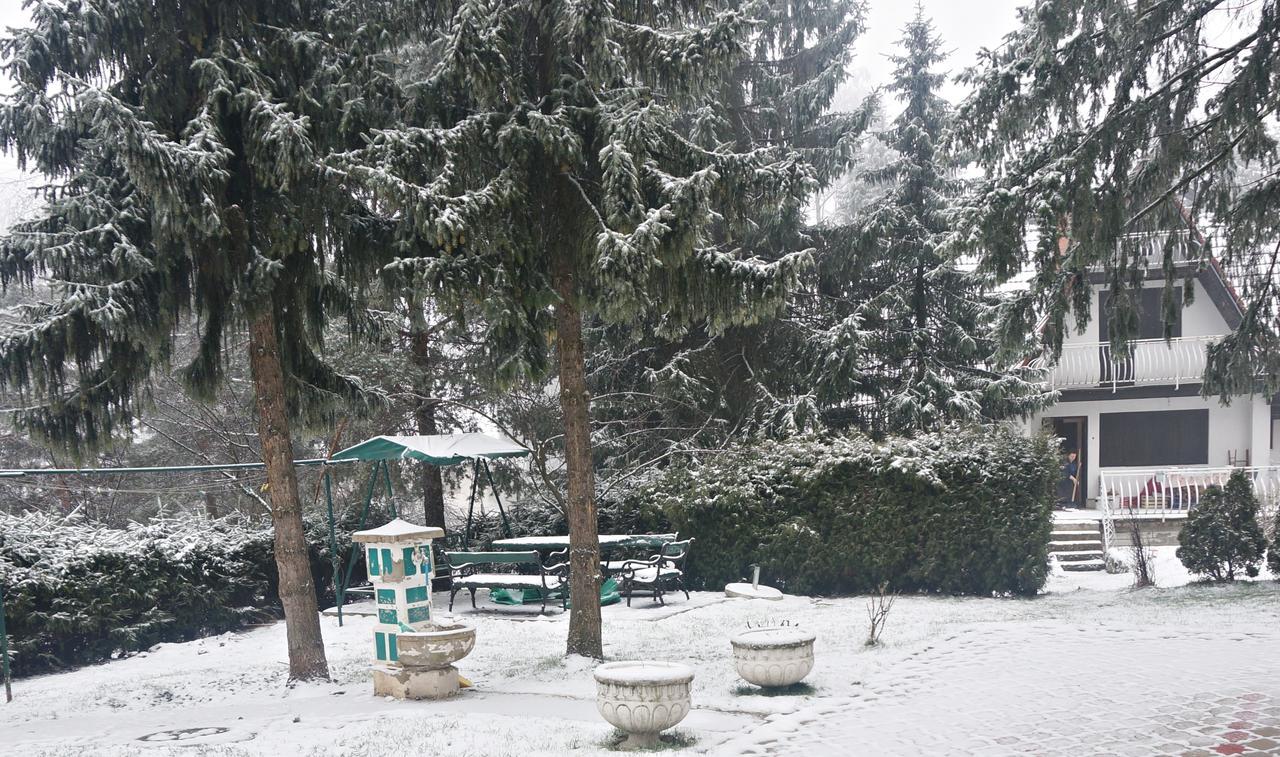 Apartment Kamencic Zlatibor Eksteriør billede